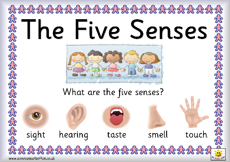 The Knowledge of the Five Senses: Introduction to Reality 101